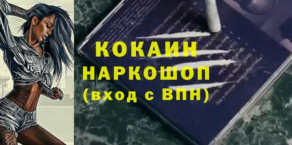 дмт Горно-Алтайск